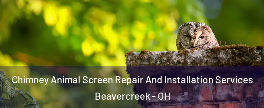  Chimney Animal Screen Repair And Installation Services Beavercreek - OH