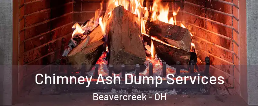  Chimney Ash Dump Services Beavercreek - OH