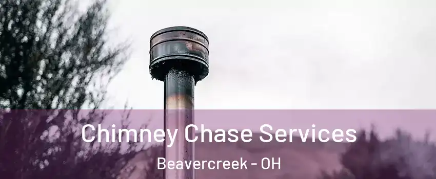  Chimney Chase Services Beavercreek - OH