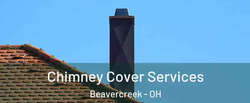  Chimney Cover Services Beavercreek - OH