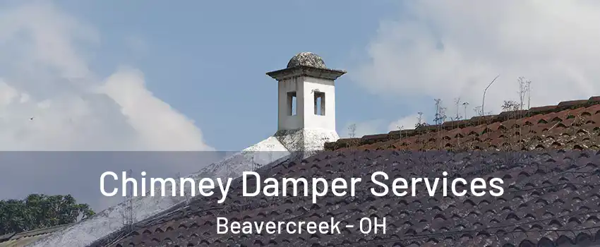  Chimney Damper Services Beavercreek - OH