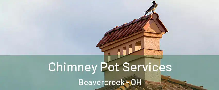  Chimney Pot Services Beavercreek - OH