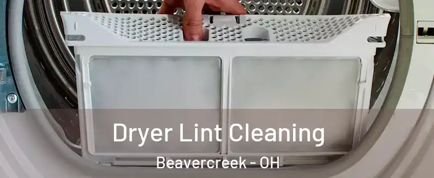  Dryer Lint Cleaning Beavercreek - OH