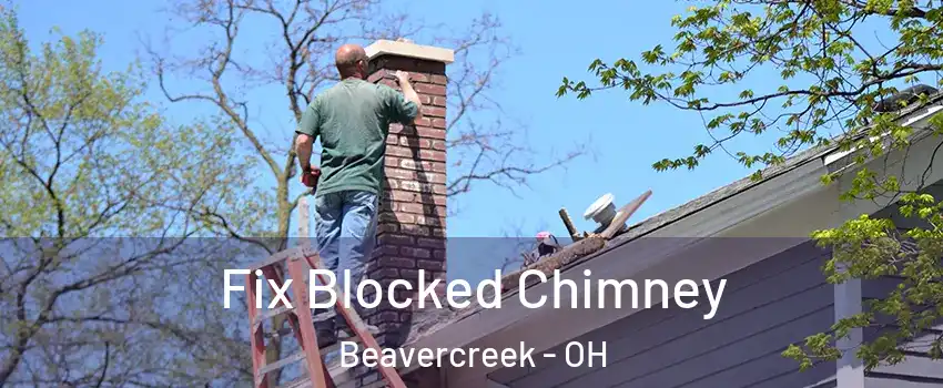  Fix Blocked Chimney Beavercreek - OH