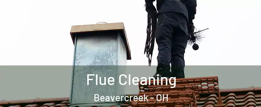  Flue Cleaning Beavercreek - OH