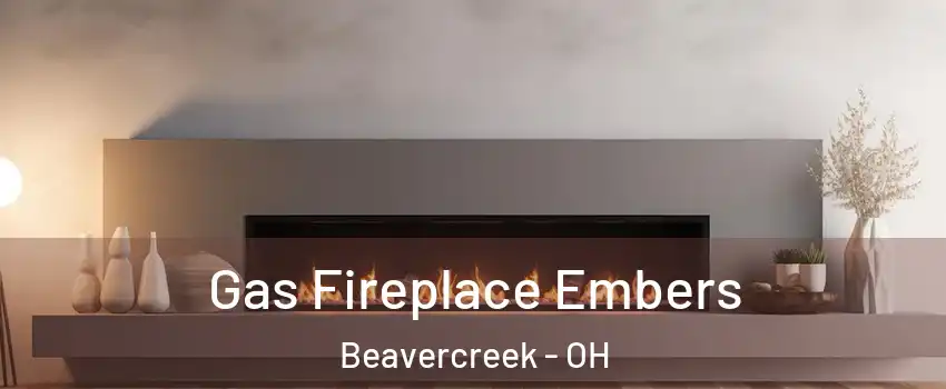  Gas Fireplace Embers Beavercreek - OH