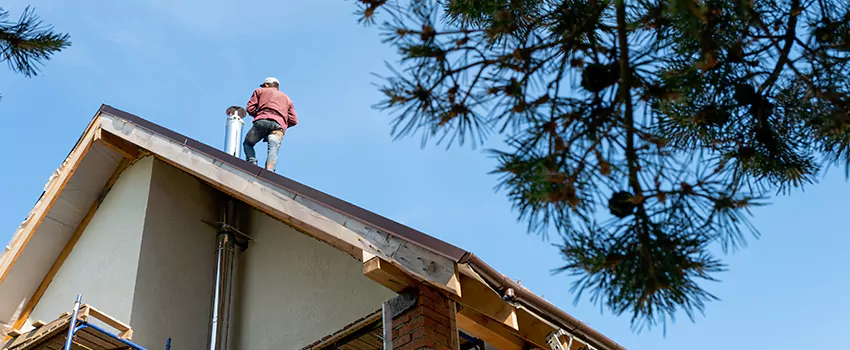 Birds Removal Contractors from Chimney in Beavercreek, OH