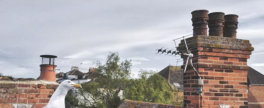 Chimney Cleaning And Restoration in Beavercreek, Ohio