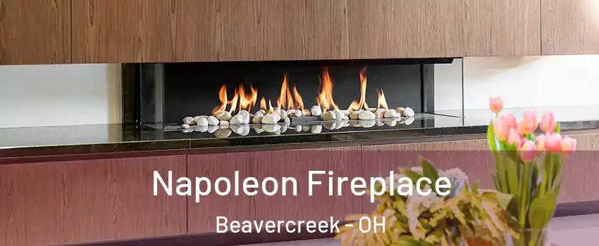  Napoleon Fireplace Beavercreek - OH