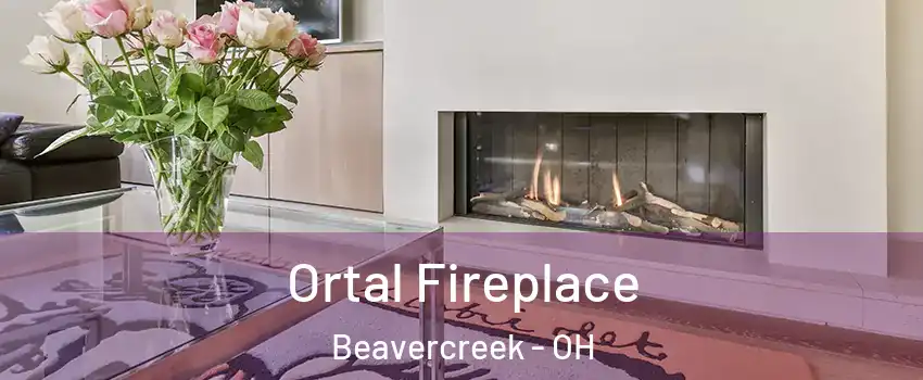  Ortal Fireplace Beavercreek - OH